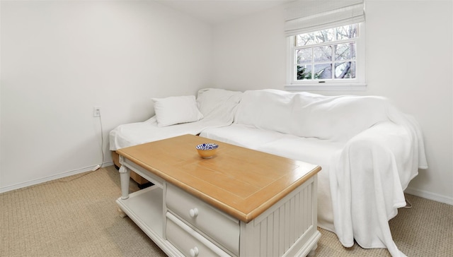 5225 Peconic Bay Blvd, Laurel, NY 11948 - living room featuring light colored carpet and baseboards