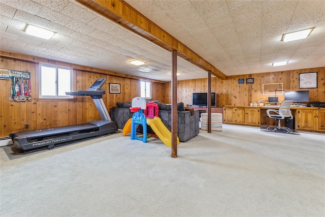 exercise area featuring wood walls and carpet flooring