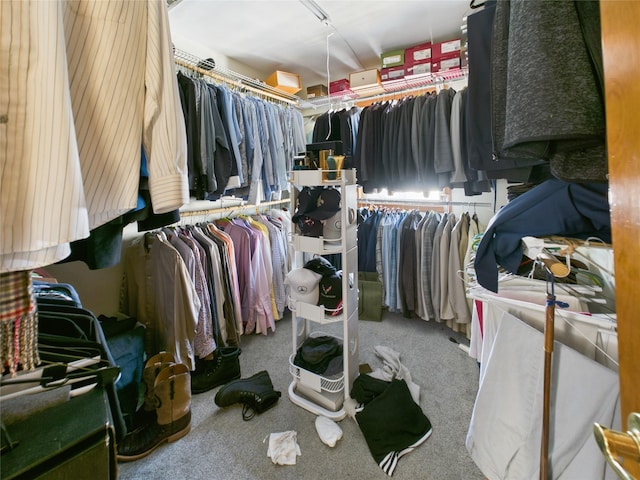 spacious closet featuring carpet floors