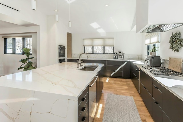 kitchen with a healthy amount of sunlight, a sink, custom exhaust hood, and modern cabinets