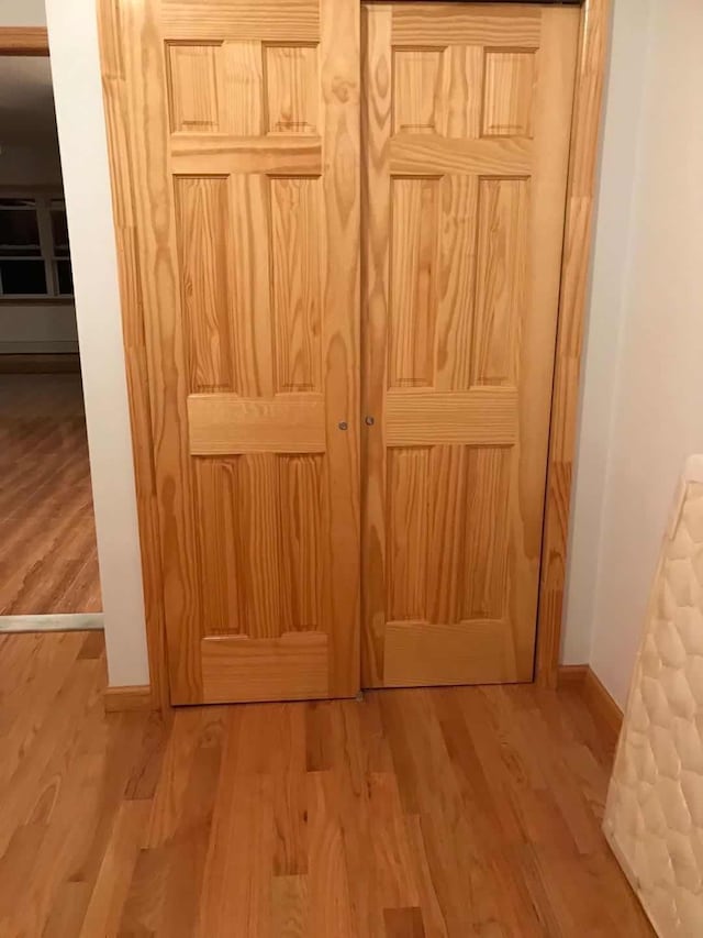 interior details with baseboards and wood finished floors