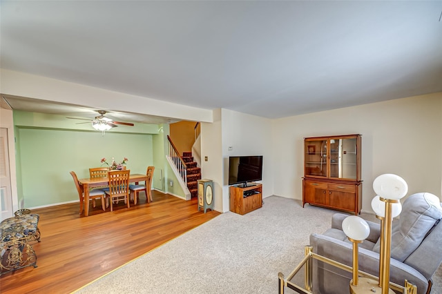 carpeted living room with stairs, a ceiling fan, and wood finished floors