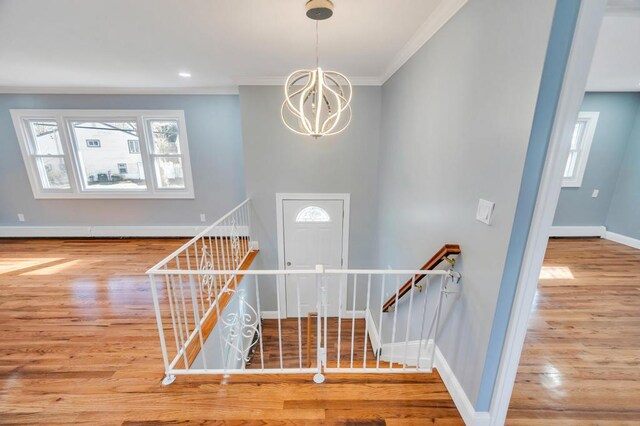 foyer with ornamental molding, wood finished floors, a wealth of natural light, and baseboards