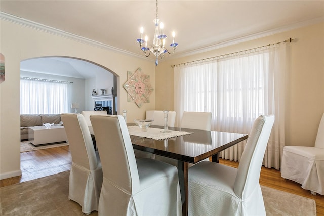 dining room featuring ornamental molding, wood finished floors, and a healthy amount of sunlight