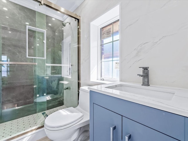 bathroom with a shower stall, toilet, and vanity