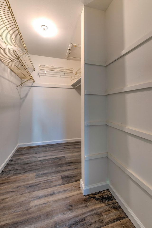 spacious closet featuring wood finished floors