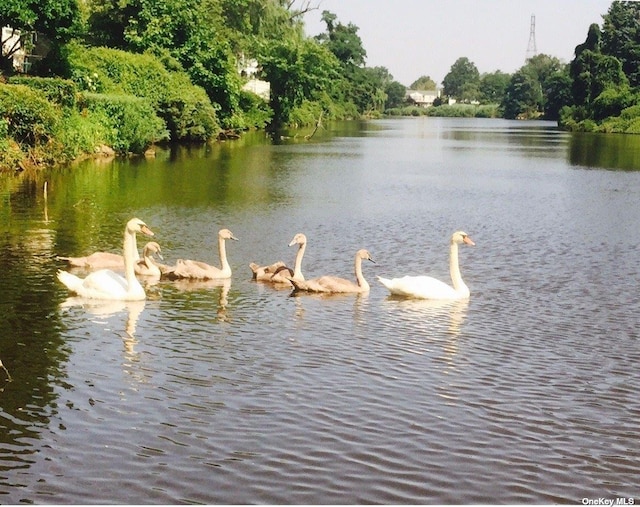 property view of water