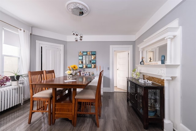 dining space featuring baseboards, radiator heating unit, and wood finished floors