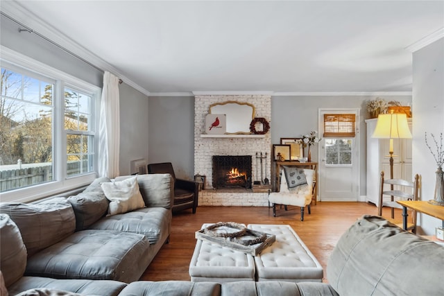 living room with a fireplace, wood finished floors, and crown molding