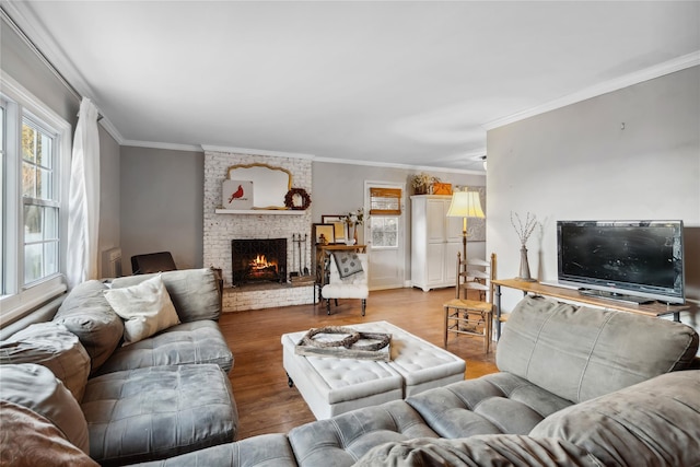 living room featuring ornamental molding, a fireplace, and wood finished floors