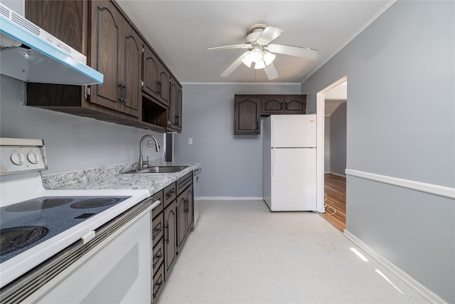 kitchen featuring white appliances, baseboards, dark brown cabinets, under cabinet range hood, and a sink