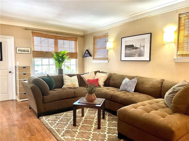 living room featuring ornamental molding and wood finished floors