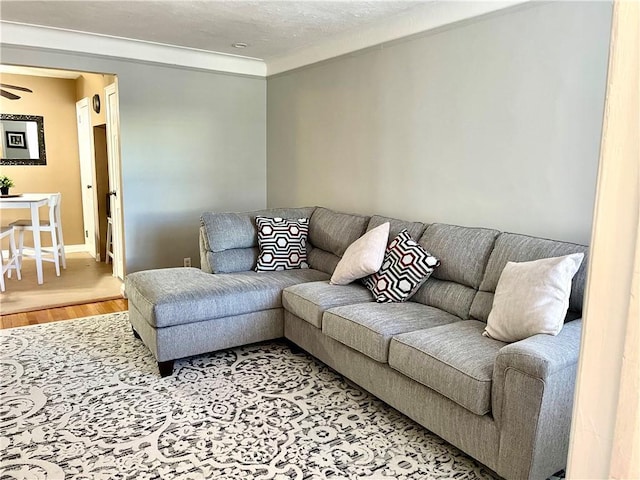 living area featuring baseboards and wood finished floors