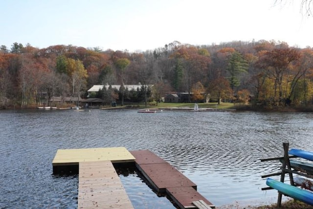 view of dock featuring a water view and a wooded view