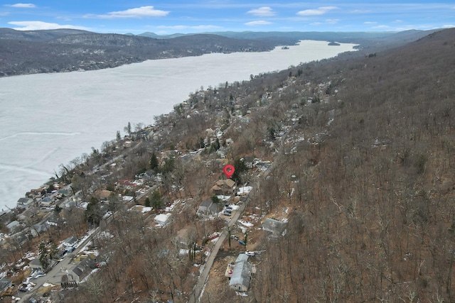 birds eye view of property featuring a mountain view