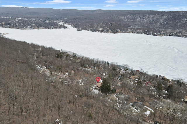 drone / aerial view with a mountain view