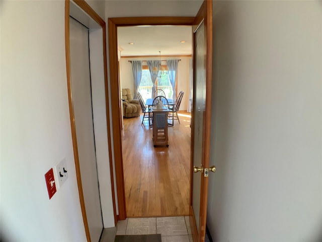 hallway with wood finished floors