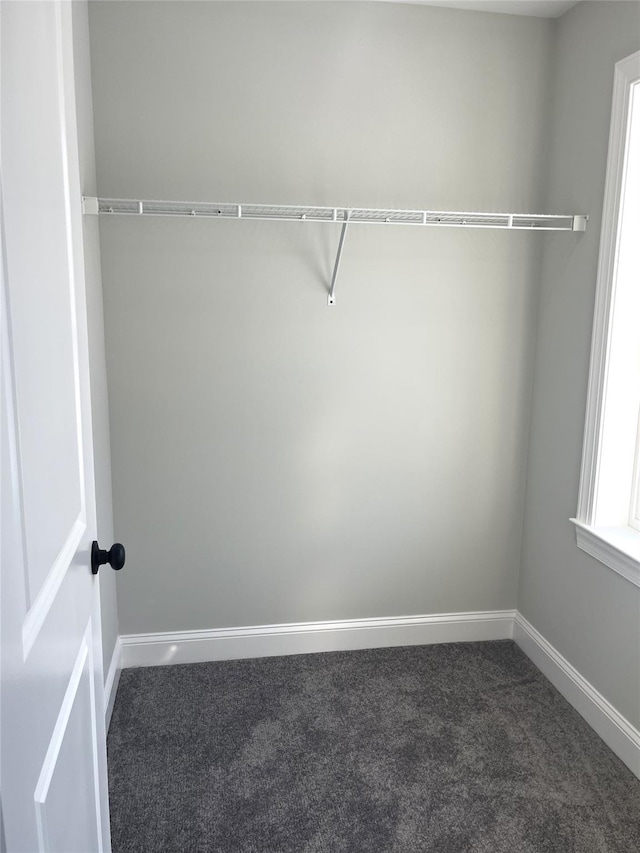 walk in closet with carpet