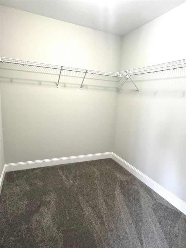 spacious closet with dark carpet