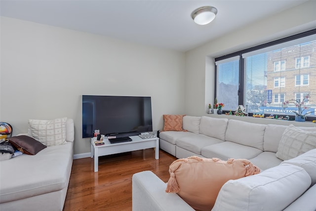 living room with wood finished floors