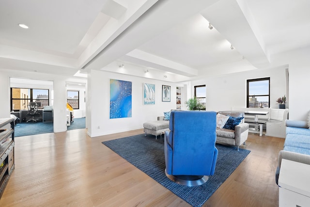 living room featuring a wealth of natural light, a raised ceiling, light wood-style flooring, and baseboards