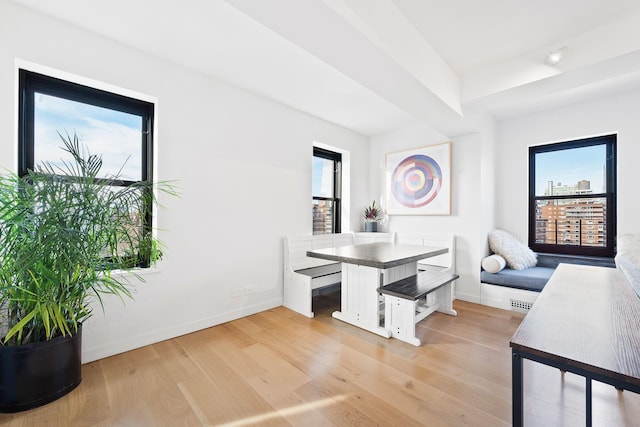 dining area featuring light wood-type flooring, a healthy amount of sunlight, and baseboards