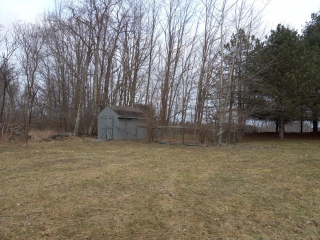 view of yard featuring a storage unit and an outdoor structure