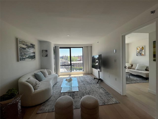 144-49 Northern Blvd Unit 213, Flushing, NY 11354 - living room with wood finished floors and baseboards