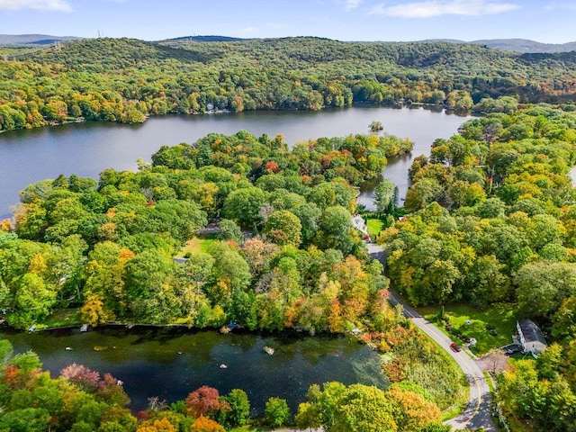 drone / aerial view with a water view and a view of trees