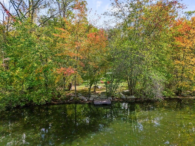 view of water feature