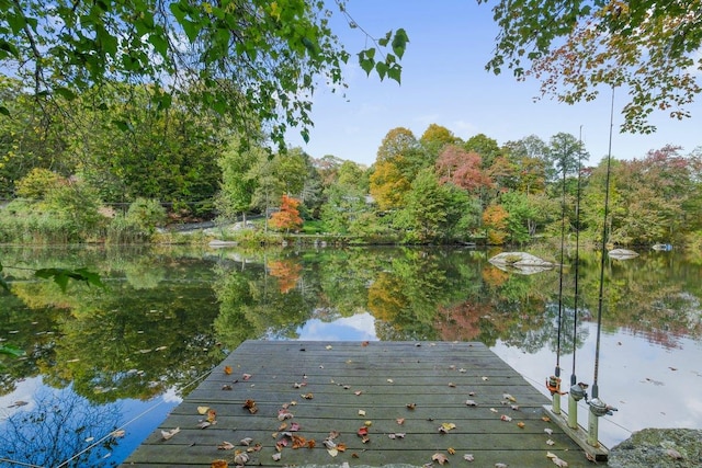 dock area featuring a water view