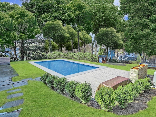 pool with a lawn