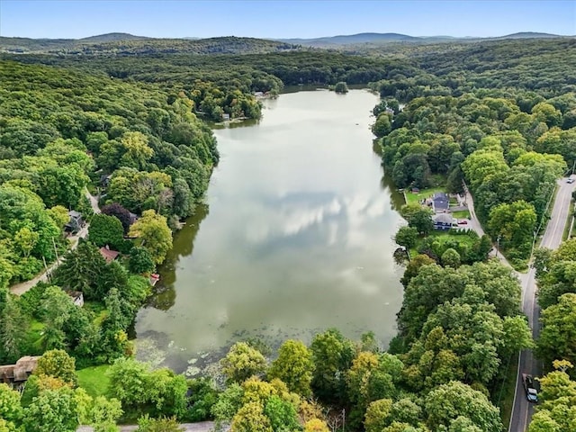 bird's eye view with a water view and a wooded view