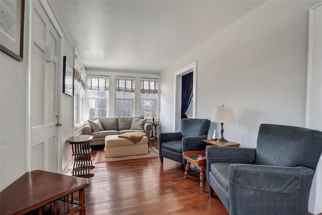 living room featuring dark wood-type flooring