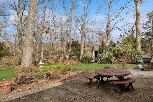 view of yard featuring a patio area