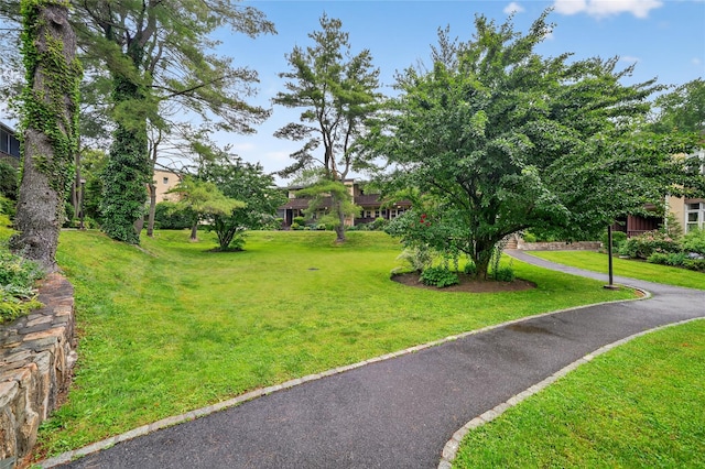 103 Wiltshire Rd Unit D13, Scarsdale, NY 10583 - surrounding community featuring a yard
