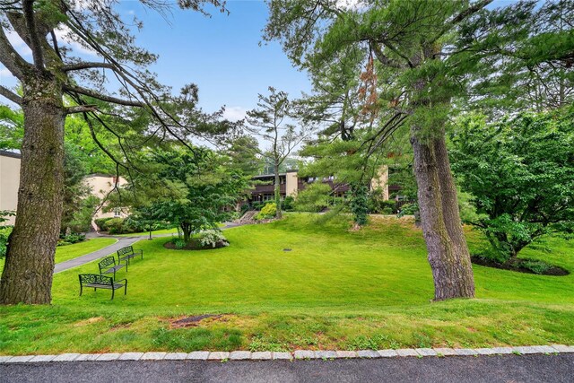103 Wiltshire Rd Unit D13, Scarsdale, NY 10583 - view of grassy yard