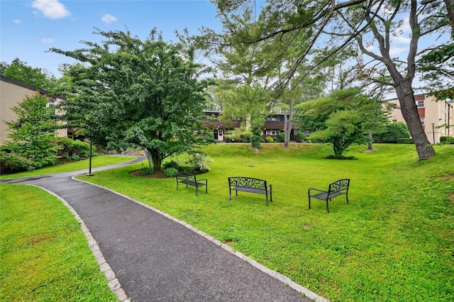103 Wiltshire Rd Unit D13, Scarsdale, NY 10583 - view of property's community featuring a lawn