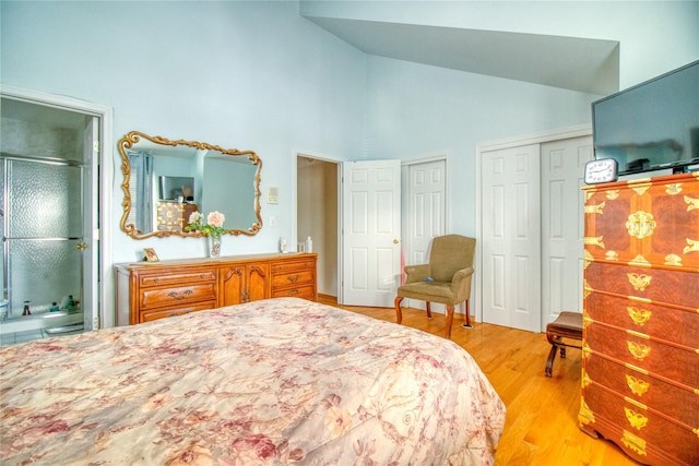 bedroom featuring vaulted ceiling, wood finished floors, two closets, and ensuite bathroom