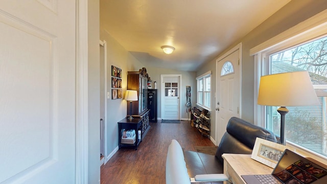 interior space featuring baseboards, vaulted ceiling, and dark wood-style flooring