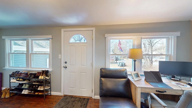 foyer entrance with baseboards, wood finished floors, and a healthy amount of sunlight