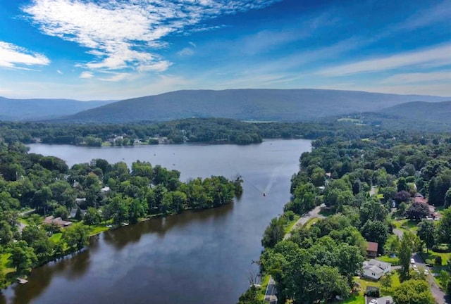 drone / aerial view with a wooded view and a water and mountain view