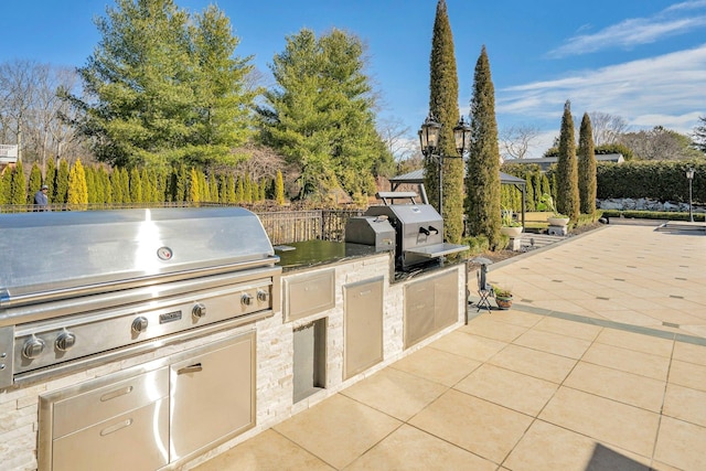 view of patio / terrace featuring area for grilling