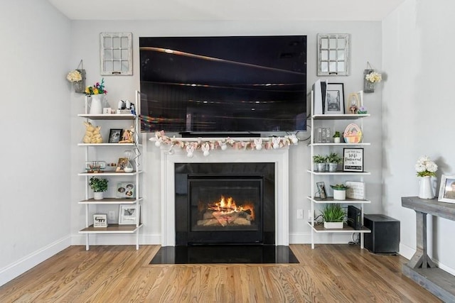 interior space with a fireplace with flush hearth, baseboards, and wood finished floors