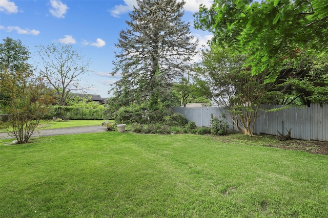 6 Agate Ave, Ossining, NY 10562 - view of yard