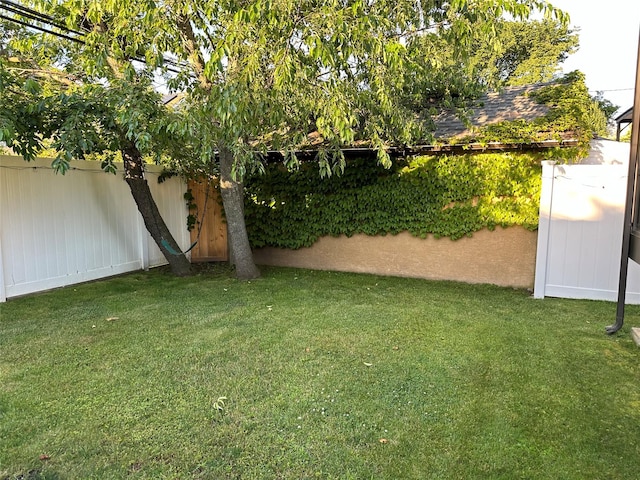 view of yard featuring a fenced backyard