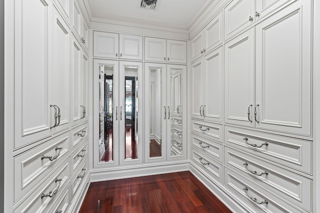 28 Whitney Cir, Glen Cove, NY 11542 - spacious closet featuring visible vents and dark wood-style flooring