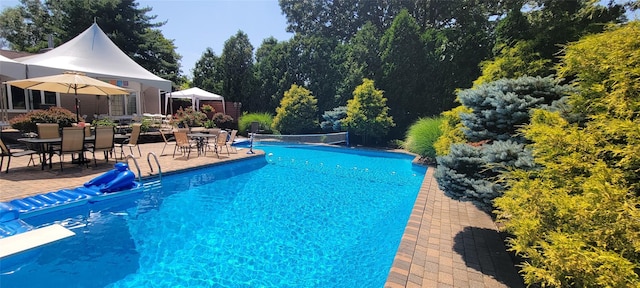 outdoor pool with a patio