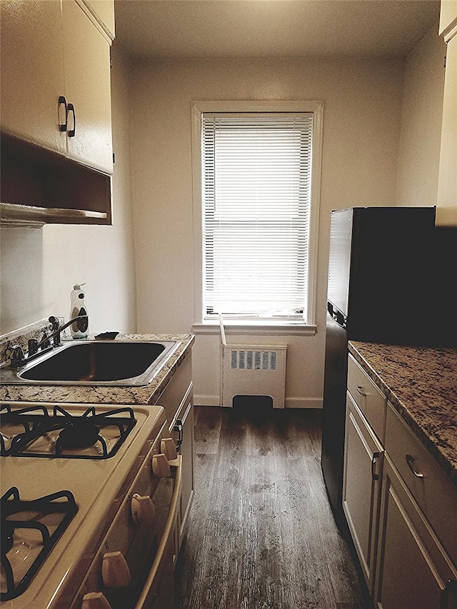 kitchen featuring baseboards, dark wood finished floors, radiator heating unit, freestanding refrigerator, and a sink