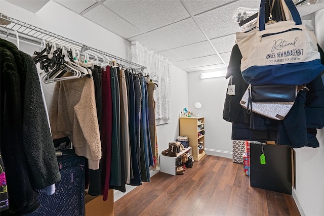 spacious closet featuring a drop ceiling and wood finished floors